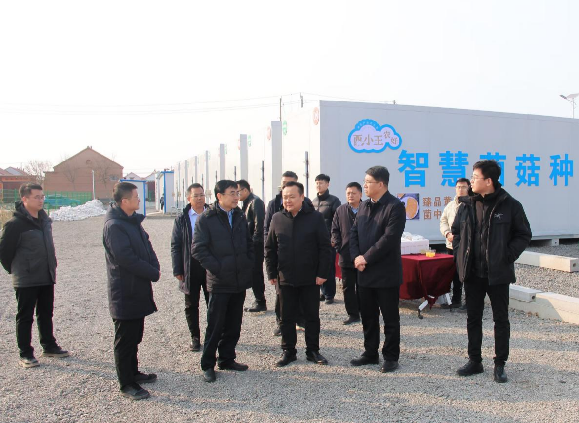 1737851605289.png 圖片1.png