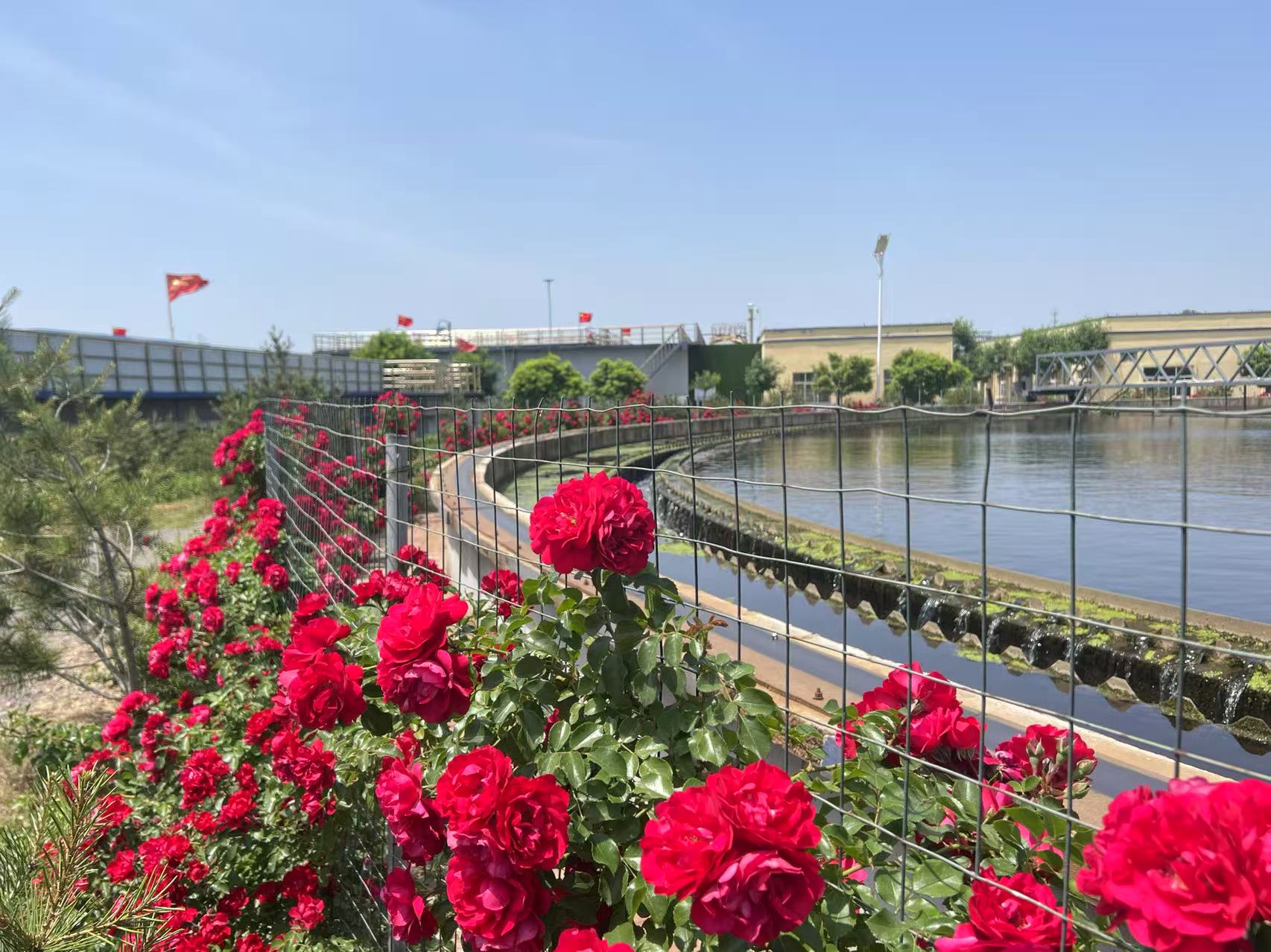 1755630741913.jpg 111.jpg